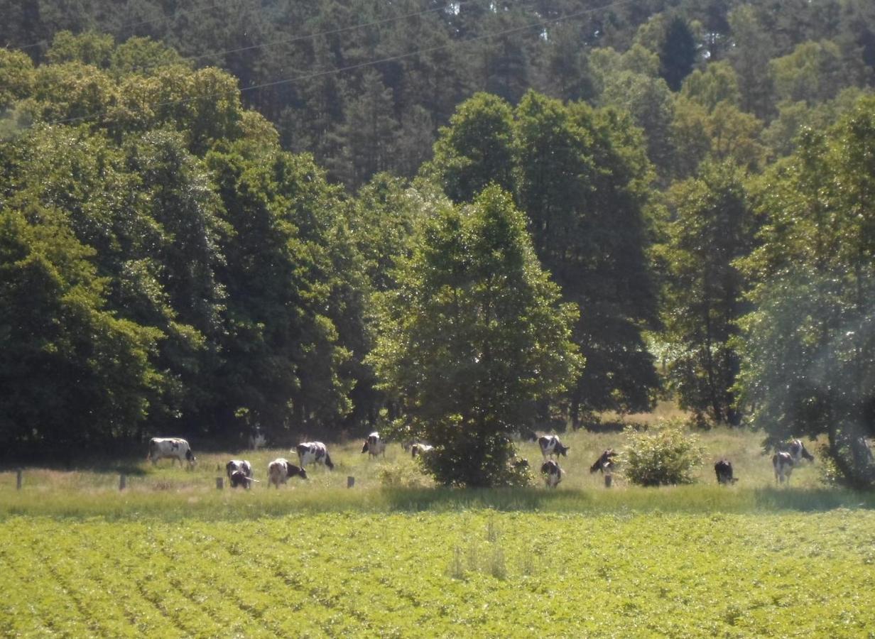 Ferienhof Meyer Nahrendorf ภายนอก รูปภาพ