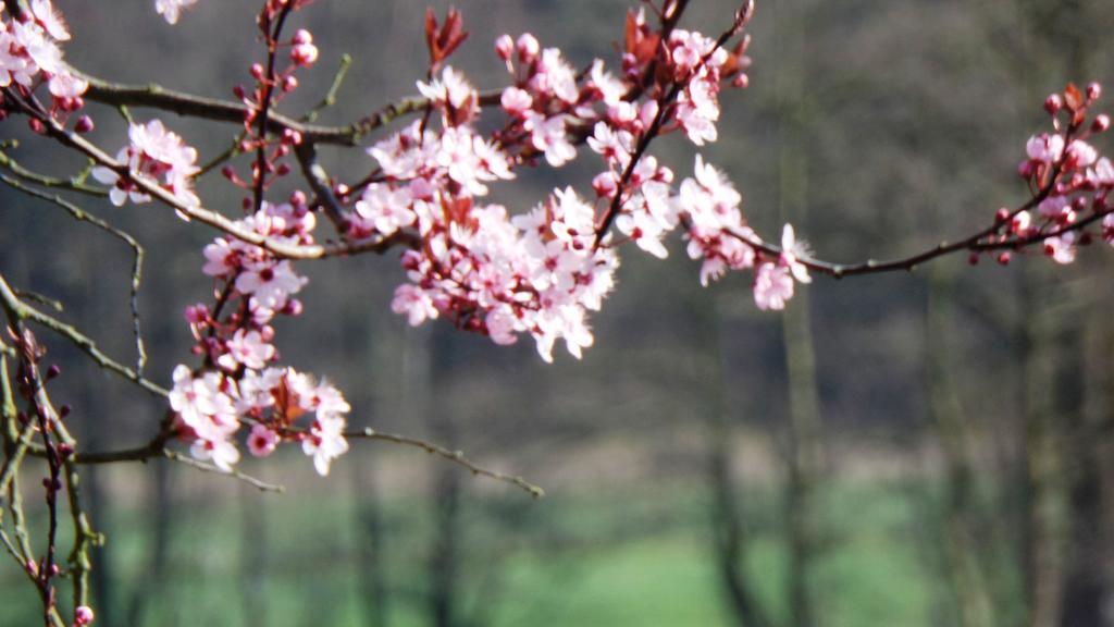 Ferienhof Meyer Nahrendorf ห้อง รูปภาพ