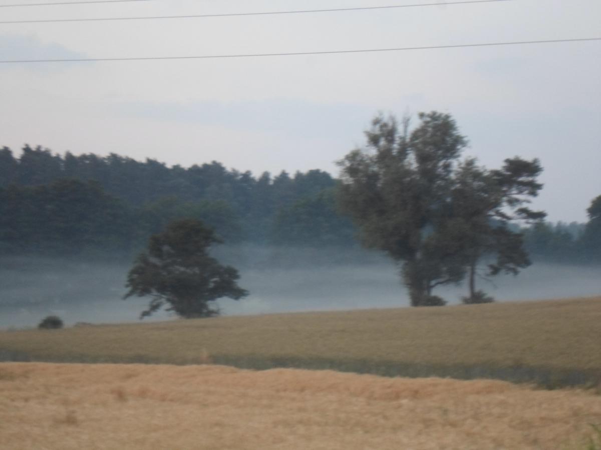 Ferienhof Meyer Nahrendorf ภายนอก รูปภาพ