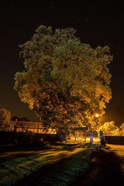 Ferienhof Meyer Nahrendorf ภายนอก รูปภาพ